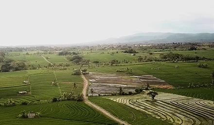 TENTANG DESA